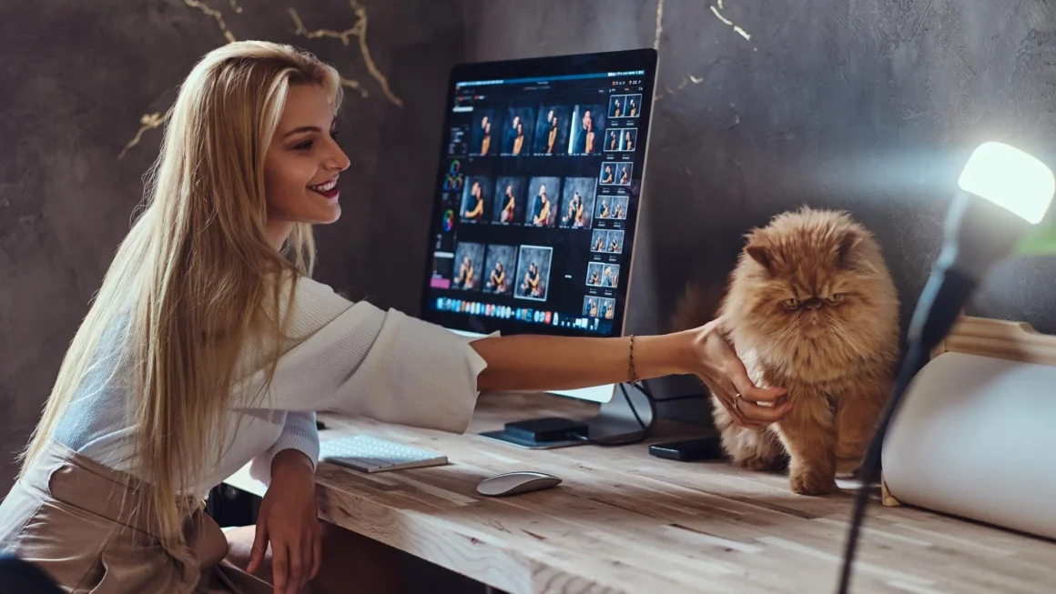 Zendog Tech: Revolutionizing Pet Care with Innovation